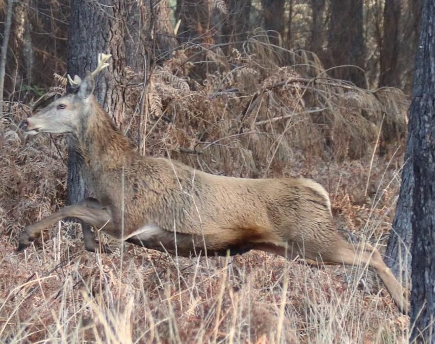 Les actualités du Domaine